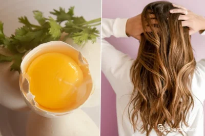 زرده تخم مرغ چه فوایدی برای مو دارد؟
