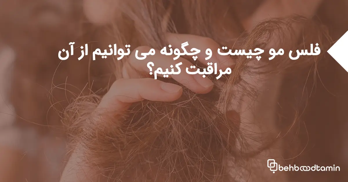 فلس مو چیست و چگونه می توانیم از آن مراقبت کنیم؟