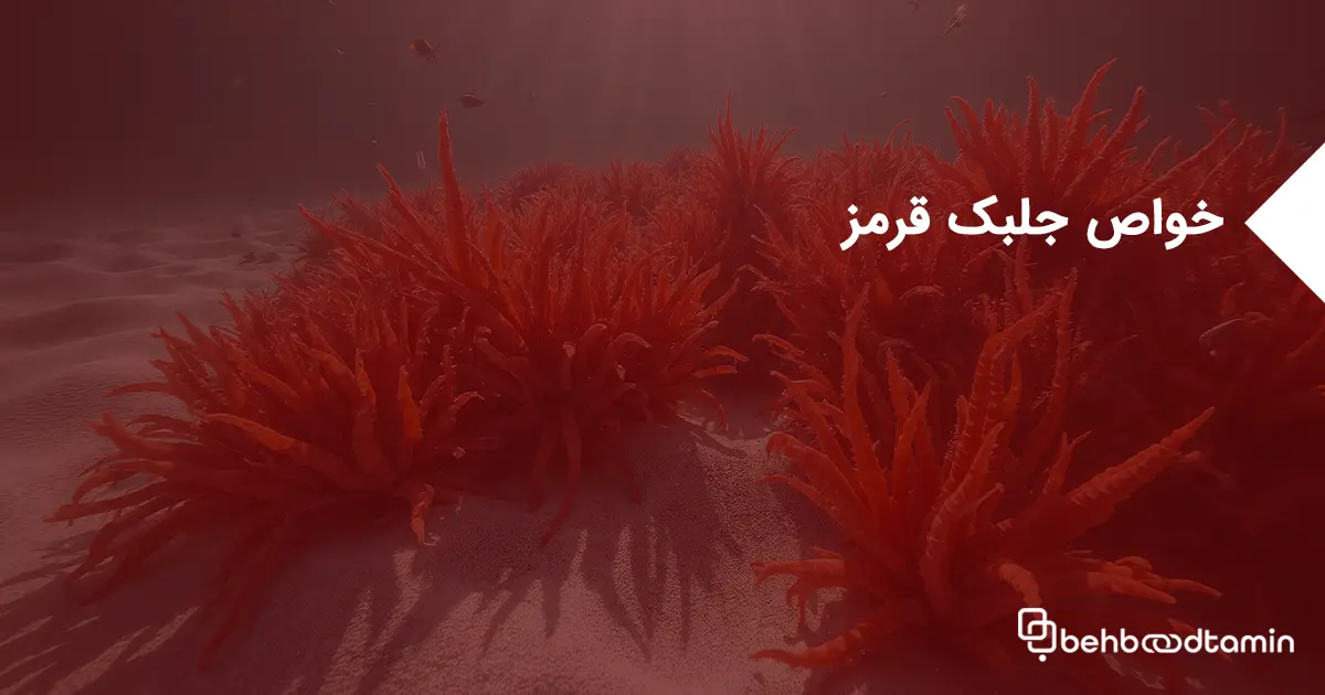 خواص جلبک قرمز