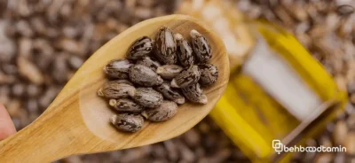 فواید روغن کرچک برای مو