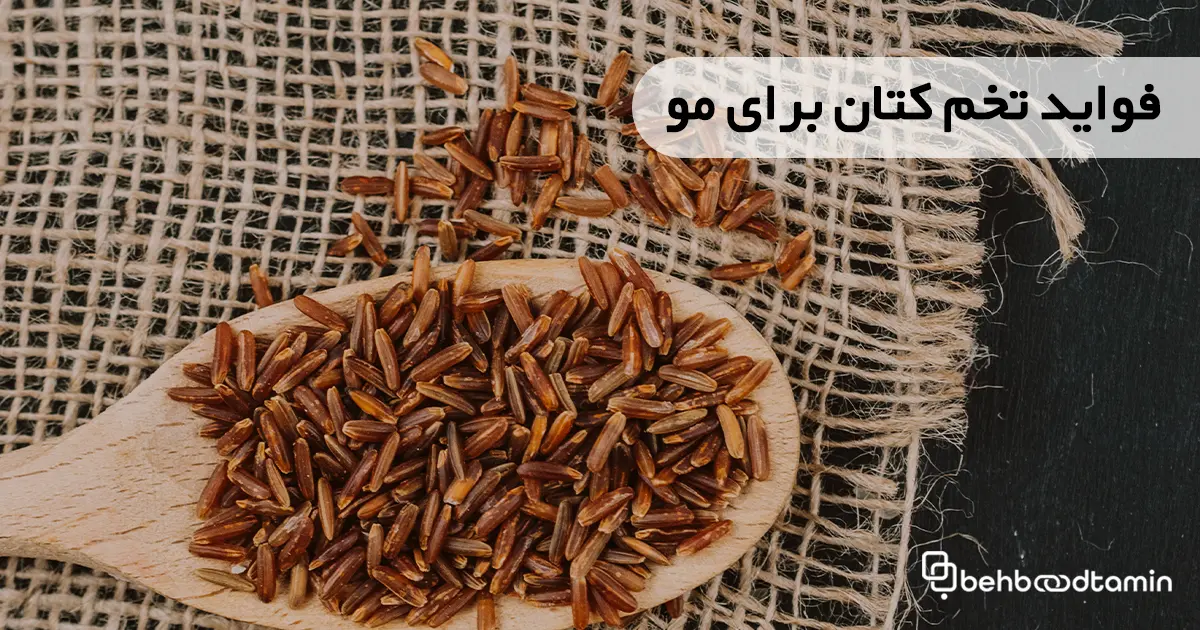 فواید تخم کتان برای مو
